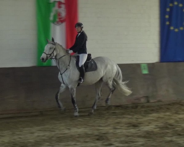 Reitturnier Jüchen-Waat 2018