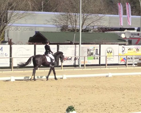 Reitturnier Schloß Holte 2018