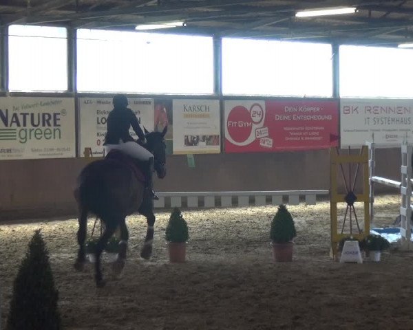Reitturnier Jüchen-Waat 2018