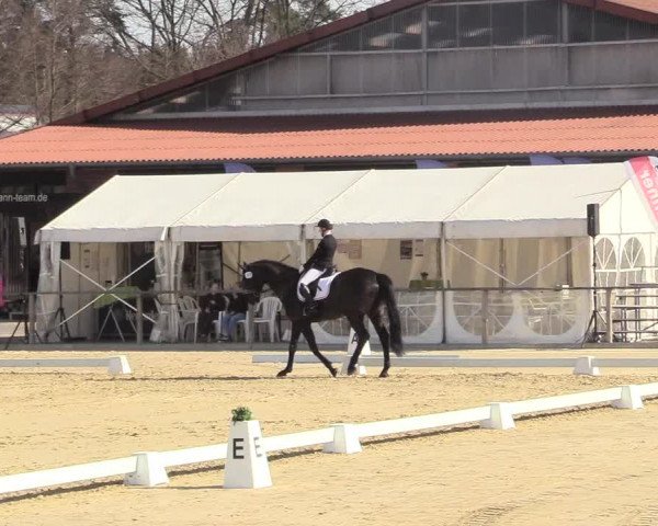 Reitturnier Schloß Holte 2018