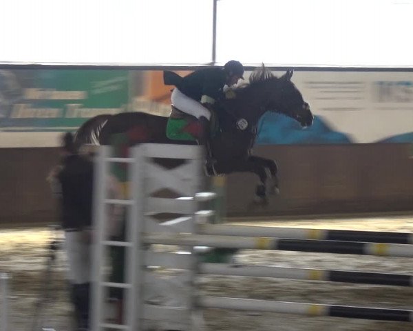 Reitturnier Jüchen-Waat 2018