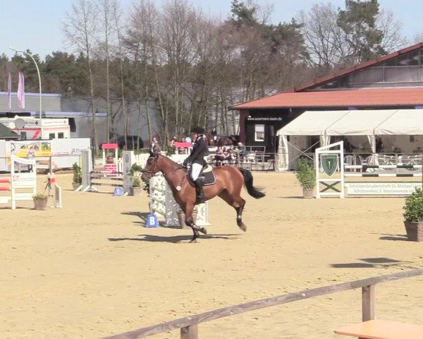 Reitturnier Schloß Holte 2018