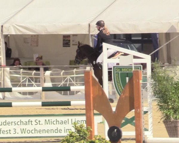 Reitturnier Schloß Holte 2018