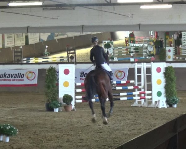 Reitturnier Jüchen-Waat 2018