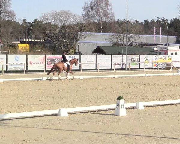 Reitturnier Schloß Holte 2018