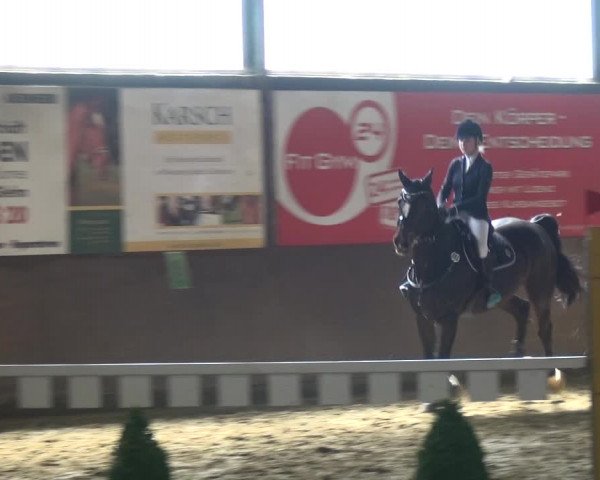 Reitturnier Jüchen-Waat 2018