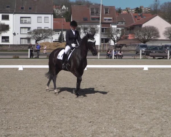 Reitturnier Zweibrücken 2018