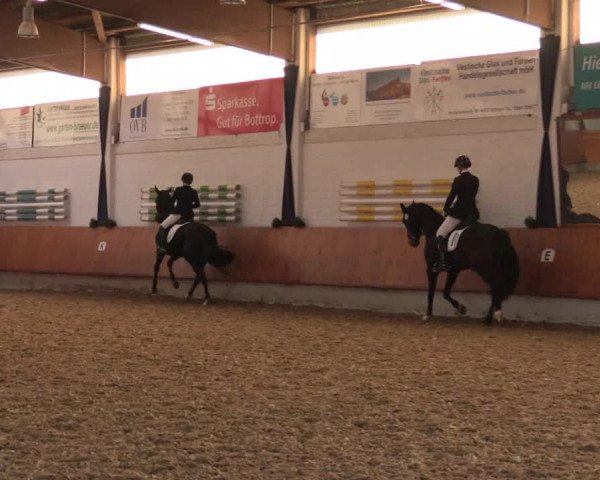 Reitturnier Bottrop 2018