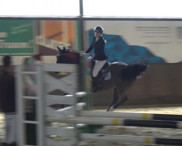 Reitturnier Jüchen-Waat 2018