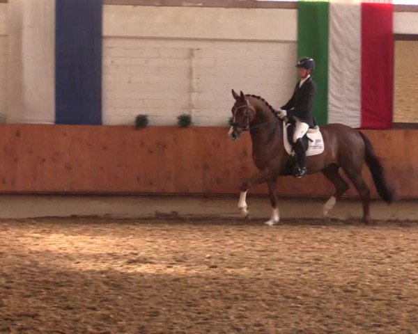 Reitturnier Bottrop 2018