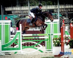 broodmare Eliade de Septon (Belgium Sporthorse, 2010, from Del Piero P&B)