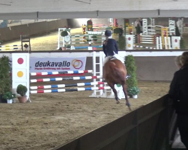 Reitturnier Jüchen-Waat 2018
