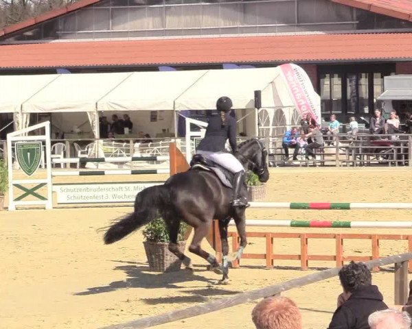 Reitturnier Schloß Holte 2018