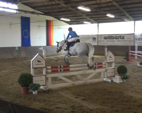 Reitturnier Jüchen-Waat 2018