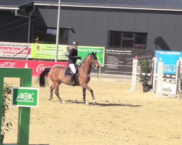 Reitturnier Schloß Holte 2018