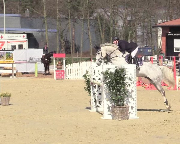 Reitturnier Schloß Holte 2018