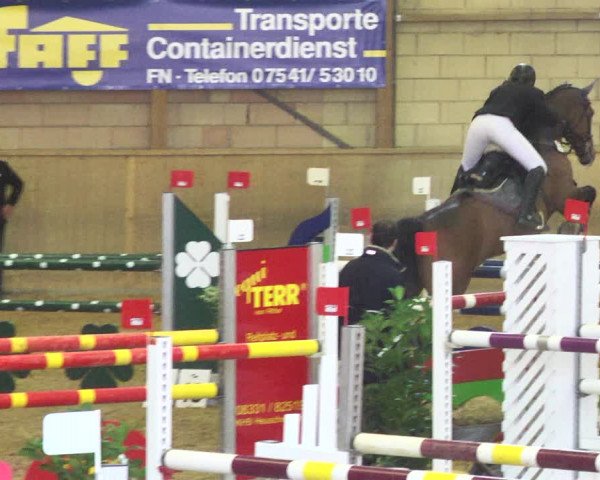 Reitturnier Friedrichshafen - Ailingen 2018