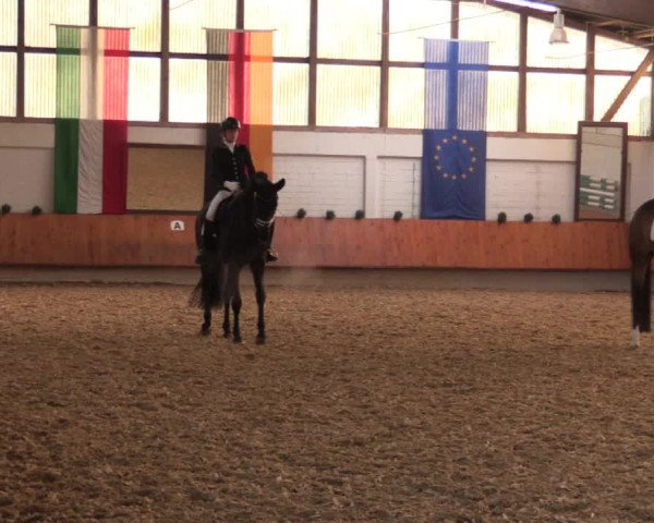 Jezdecké závody Bottrop 2018