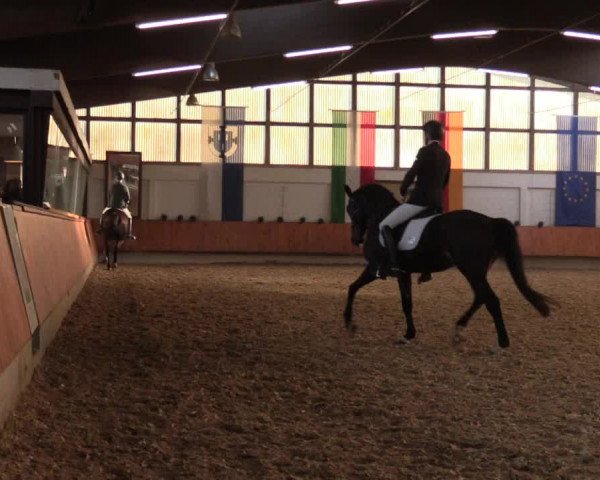 Reitturnier Bottrop 2018