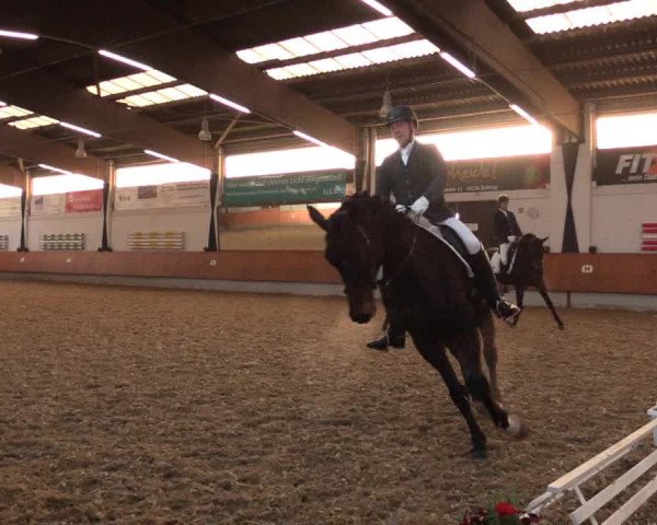 Reitturnier Bottrop 2018