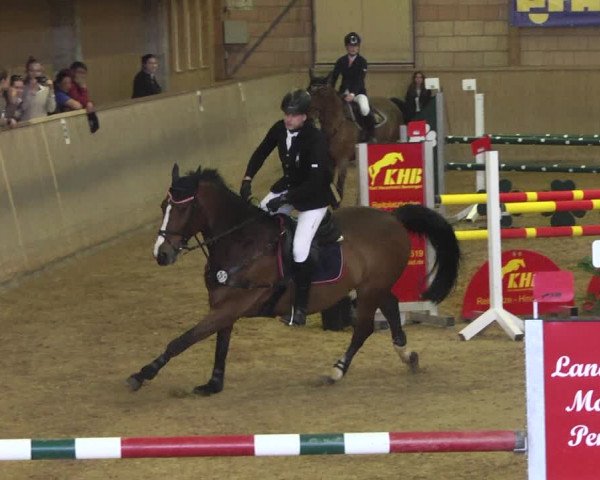 Reitturnier Friedrichshafen - Ailingen 2018