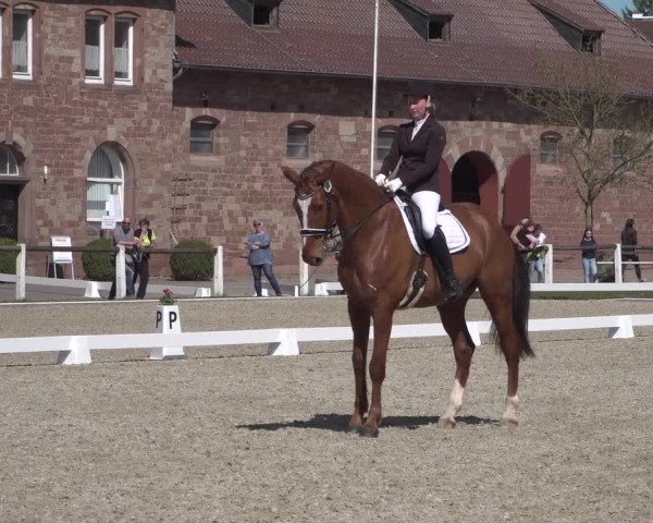 Reitturnier Zweibrücken 2018