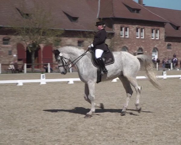Reitturnier Zweibrücken 2018