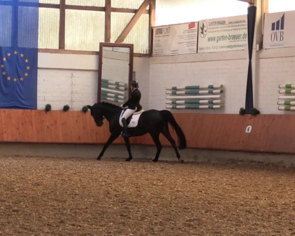 Reitturnier Bottrop 2018
