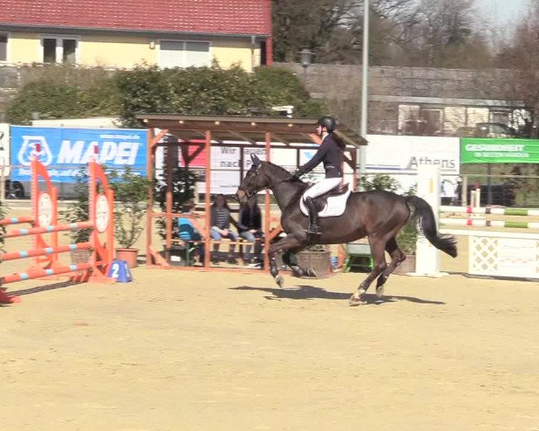 Reitturnier Schloß Holte 2018