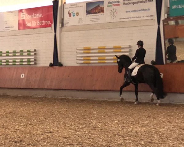 Reitturnier Bottrop 2018