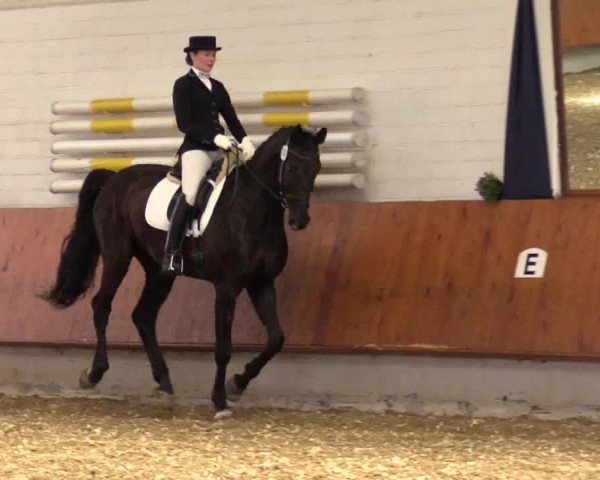 Reitturnier Bottrop 2018
