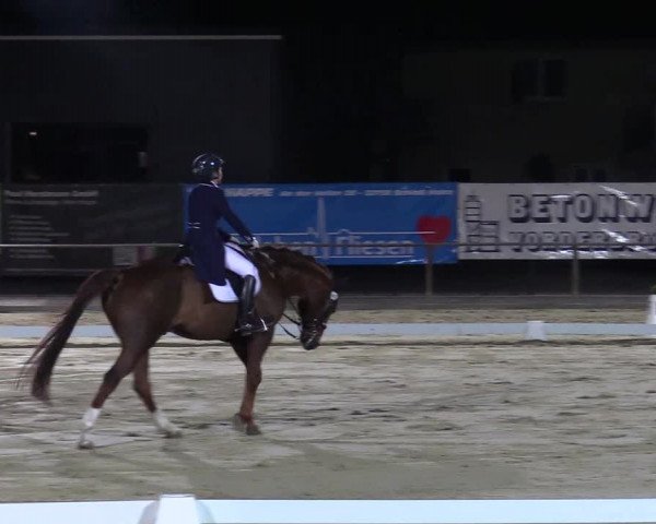 Reitturnier Schloß Holte 2018