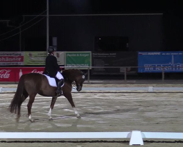 Reitturnier Schloß Holte 2018