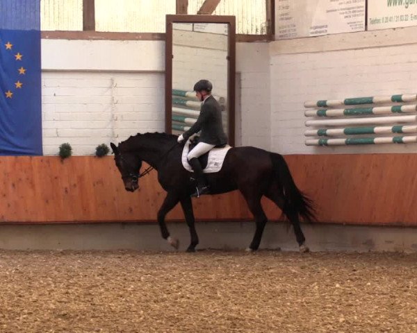 Reitturnier Bottrop 2018