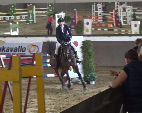 Reitturnier Jüchen-Waat 2018