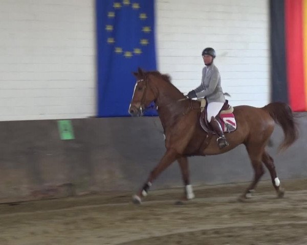 Reitturnier Jüchen-Waat 2018