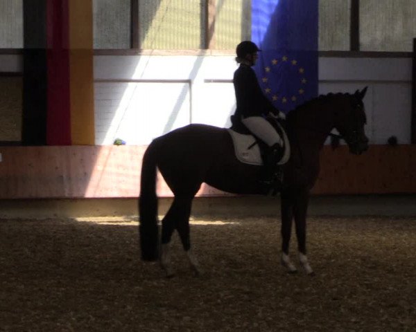 Reitturnier Bottrop 2018