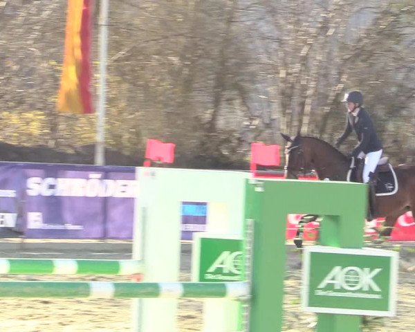 Reitturnier Schloß Holte 2018