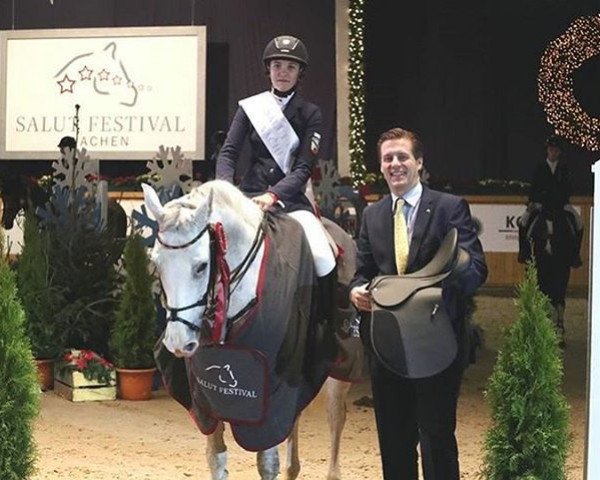 jumper Corina 110 (German Sport Horse, 2008, from Colorit)