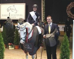 jumper Corina 110 (German Sport Horse, 2008, from Colorit)