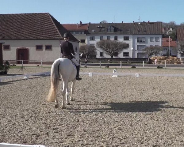 Reitturnier Zweibrücken 2018