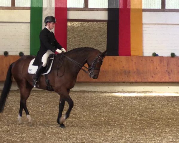 Reitturnier Bottrop 2018