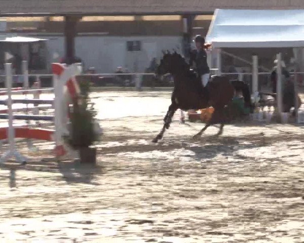 Reitturnier Bottrop 2018