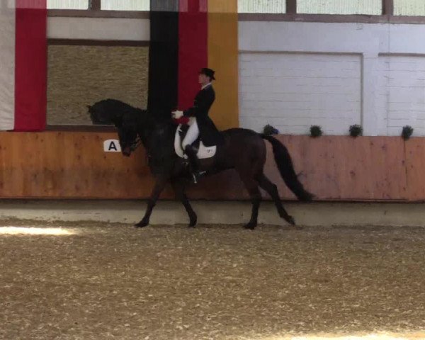 Reitturnier Bottrop 2018