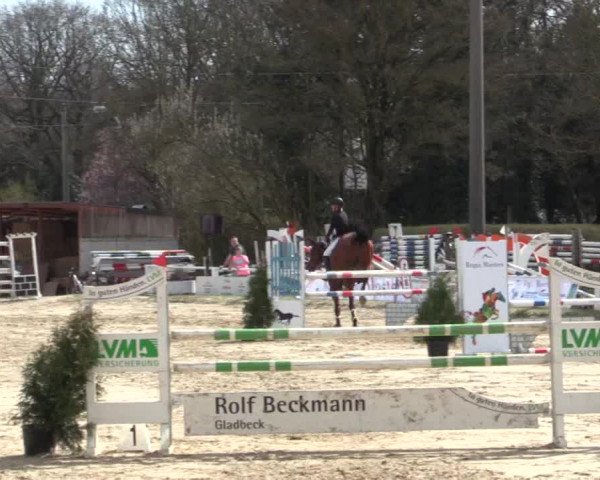 Reitturnier Bottrop 2018