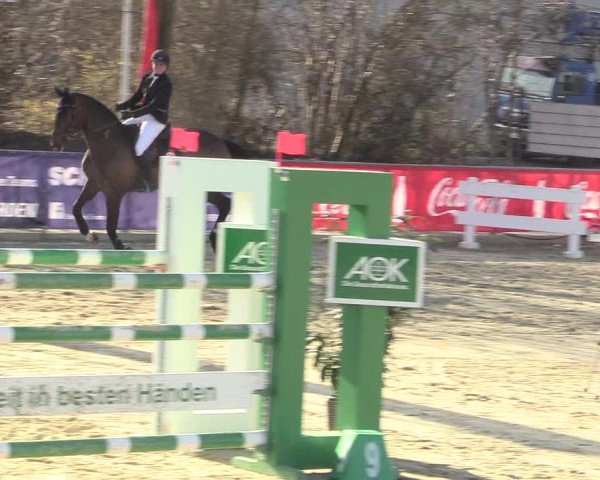 Reitturnier Schloß Holte 2018