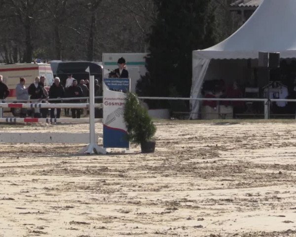 Reitturnier Bottrop 2018