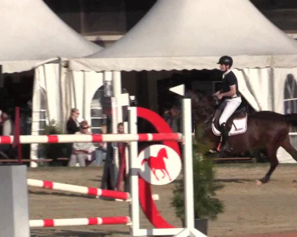Reitturnier Bottrop 2018