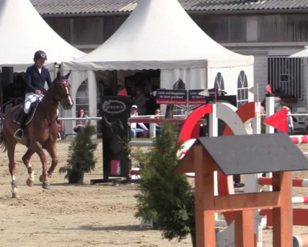 Reitturnier Bottrop 2018