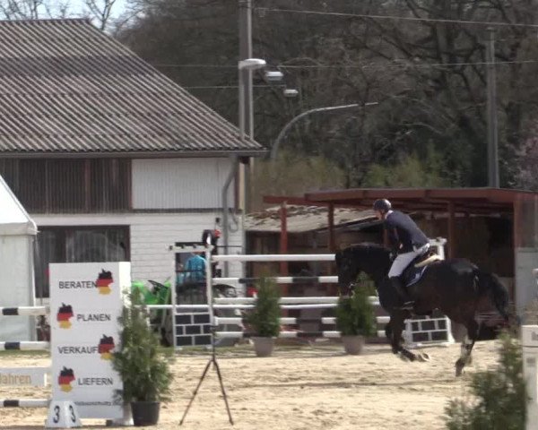 Reitturnier Bottrop 2018